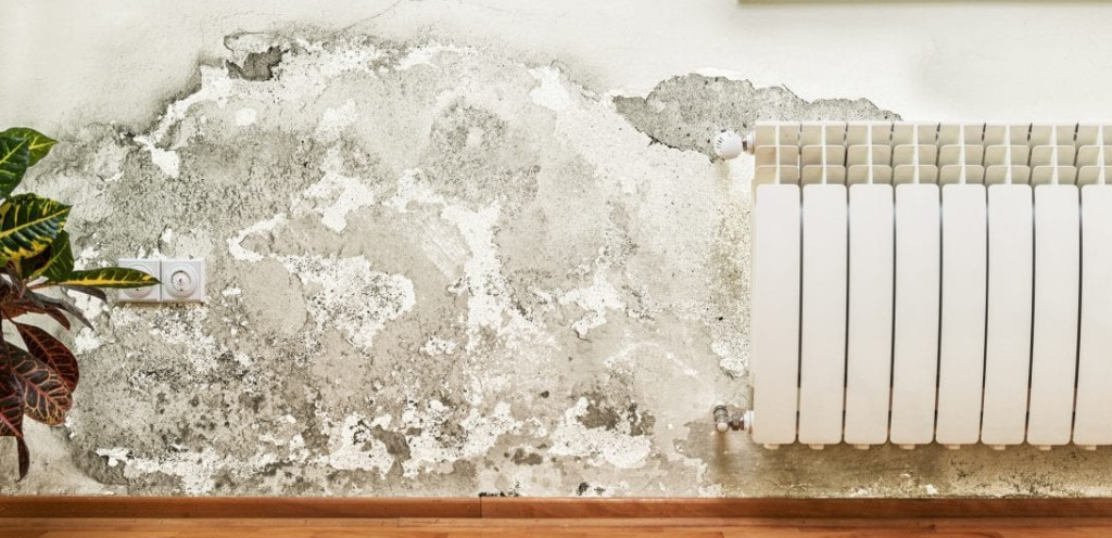 housing disrepair